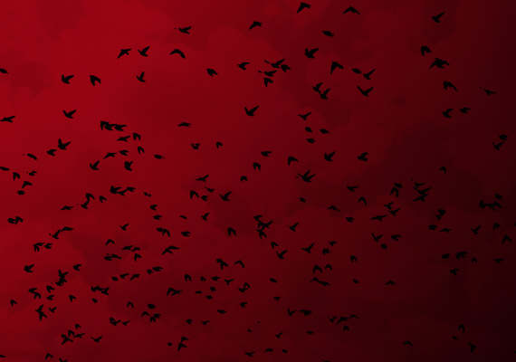 Bird Scarer